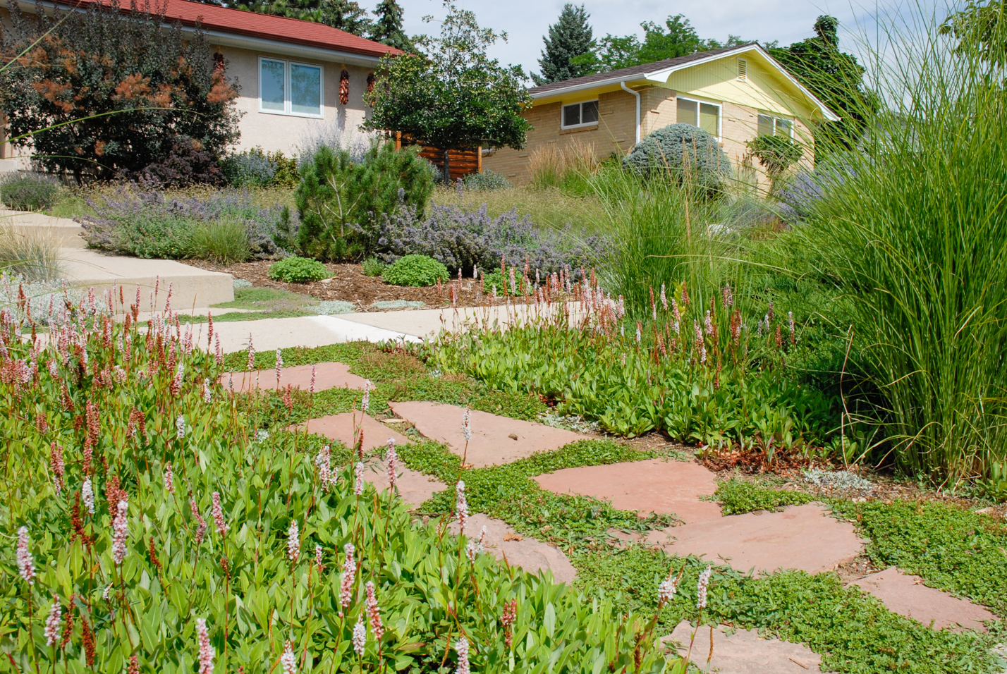 Southwest Spin Xeriscape